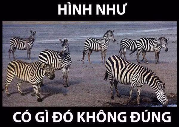 Có kẻ giấu mặt. 