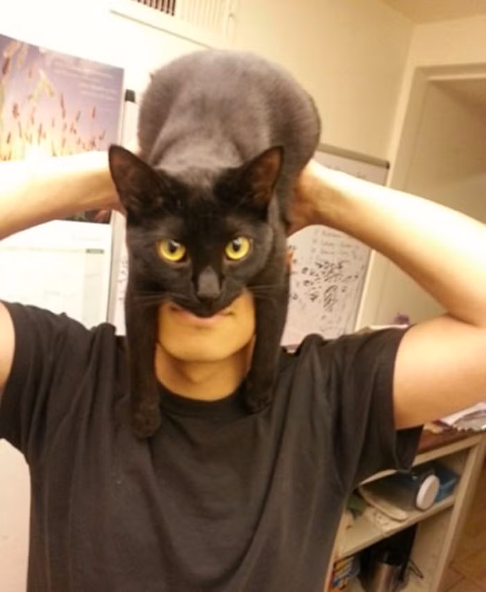 "Catman".