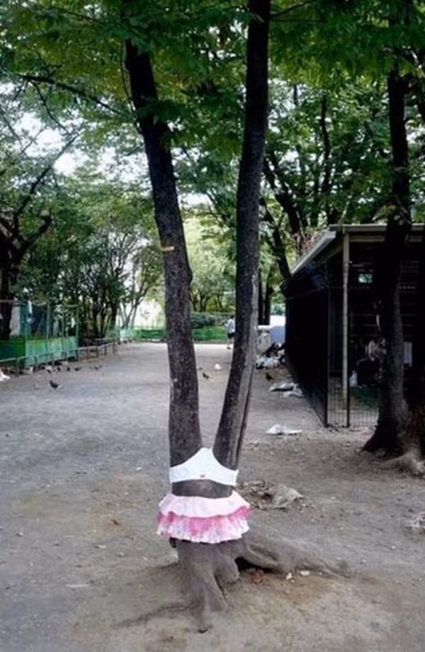 "Khi cây mặc quần, áo sexy"