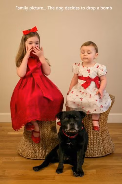 "Ảnh gia đình hài hước".