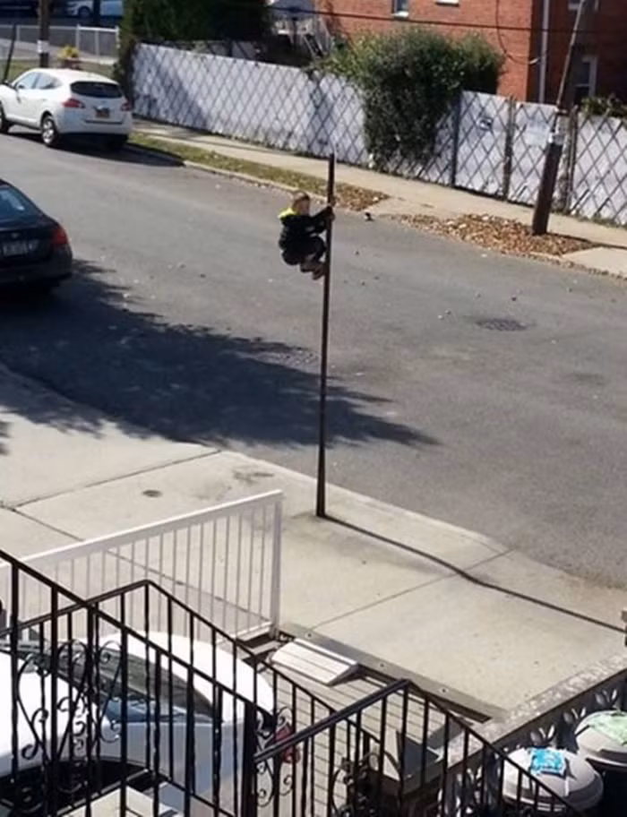 "Truyền nhân của người nhện".