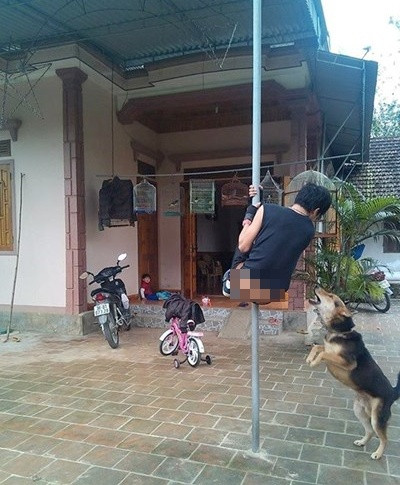 Khi cún "đón" khách.