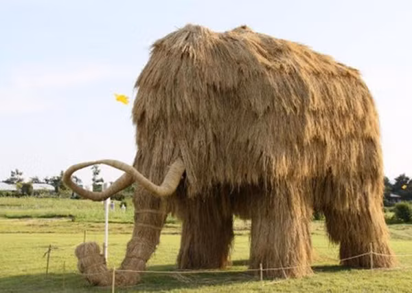 Một chú voi rơm