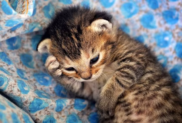 "Suy nghĩ cho tương lai".