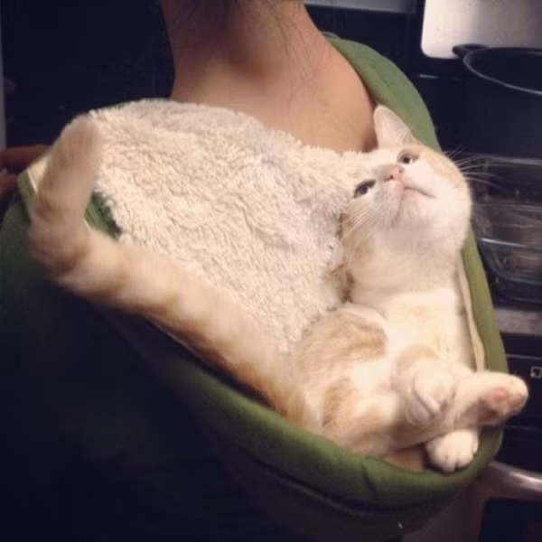 "Ngủ chỗ này chắc thoải mái lắm?".