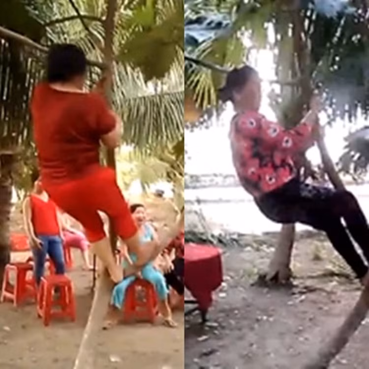 2 trong 5 nữ nhân vật chính leo hẳn lên cành cây để nhảy nhót.