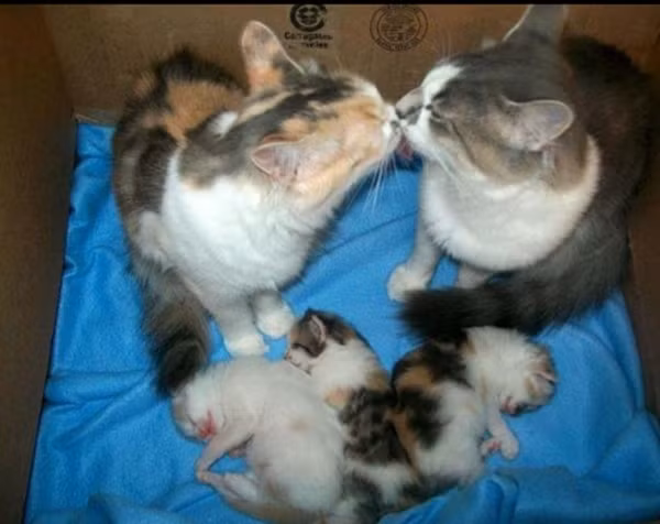 Tổ ấm gia đình.