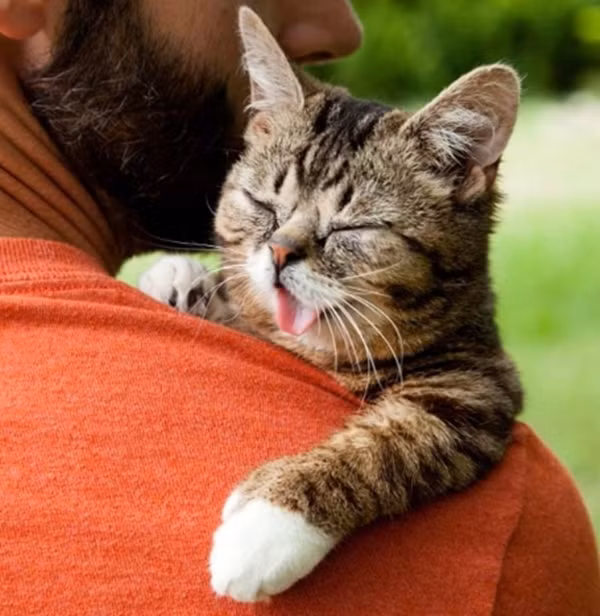 Động vật cũng có tình cảm như con người.