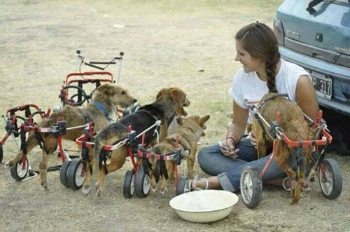 "Tấm lòng yêu thương". Gần 19.000 người đã like, cùng với hàng nghìn bình luận bày tỏ sự khâm phục trước hành động và tấm lòng của cô gái trẻ trong bức ảnh