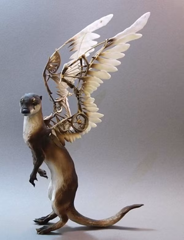 Chú chồn có cánh.