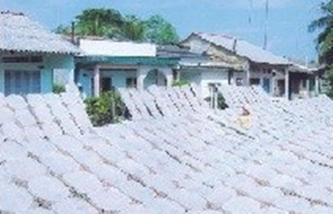 Bánh tráng, Trà Vinh