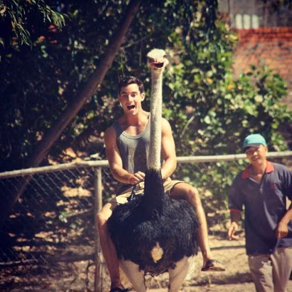 "Chạy chậm chậm thôi nha đà điểu".