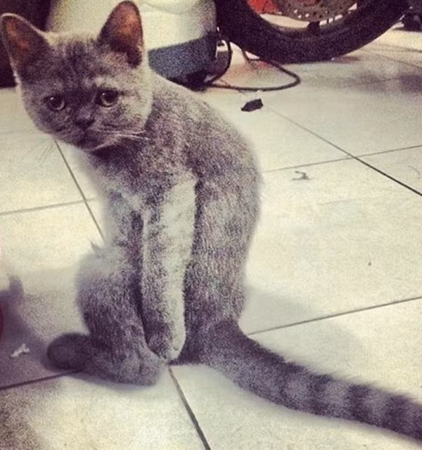 "Sao cứ soi em vậy?".