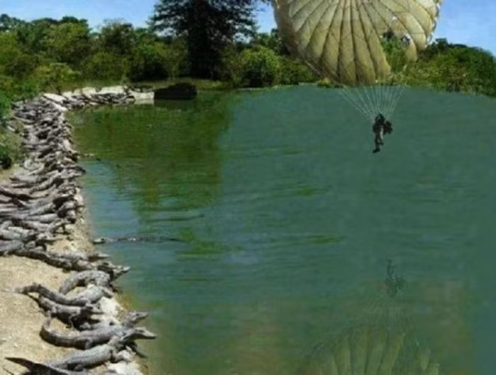 Cái kết đã được xác định.