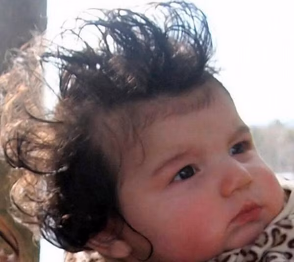 "Cuốn theo chiều gió".