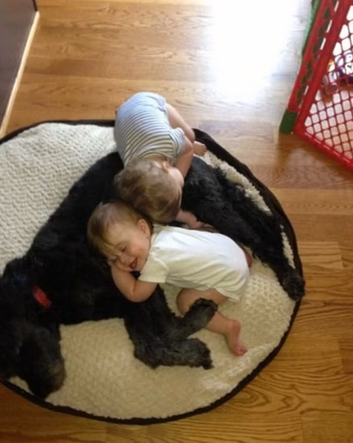 "Đến giờ ngủ rồi, đi ngủ thôi".