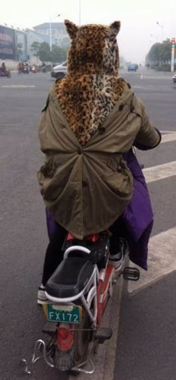 "Báo" đi xe đạp điện.