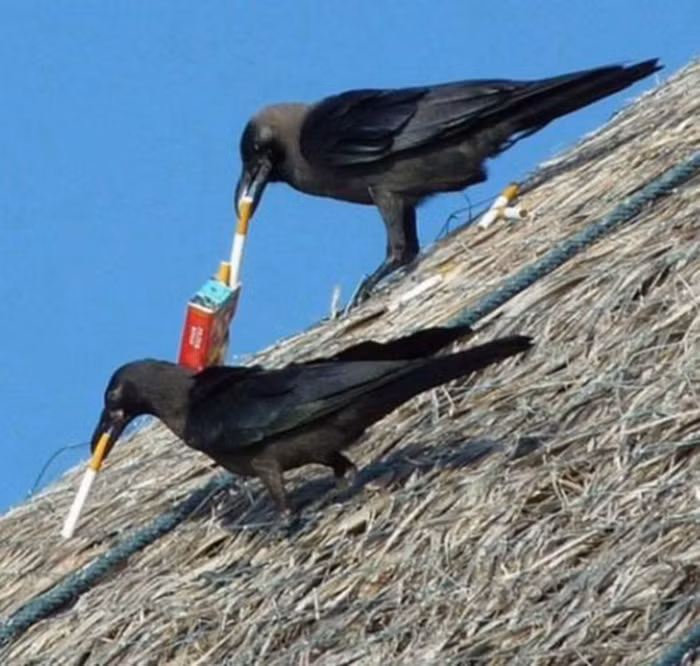 "Đã là bạn, có gì phải chia cho nhau".