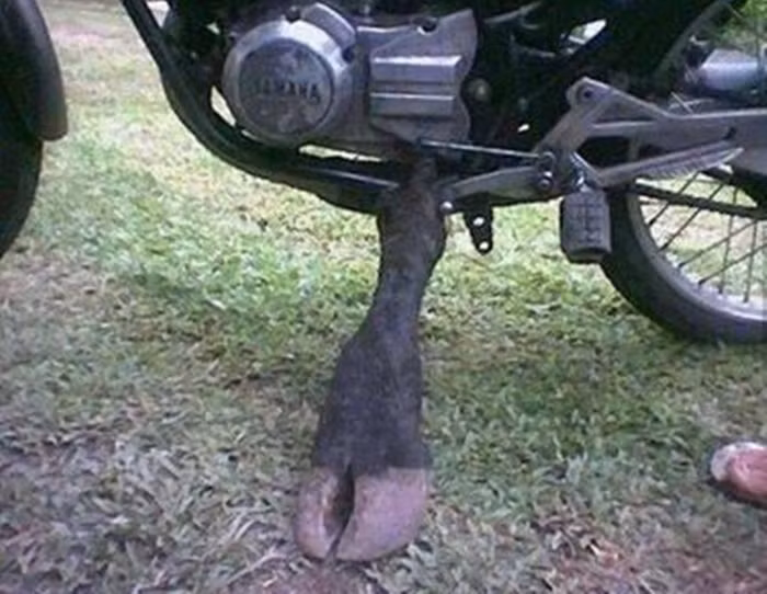 Chân chống "độc nhất vô nhị".