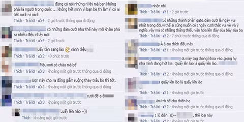 Nhiều ý kiến bình luận từ phía cư dân mạng