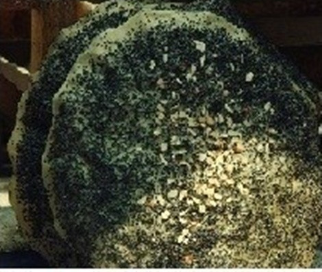 Bánh đa kê ở Bắc Giang