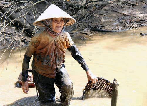 "Con đi chẳng chút băn khoăn Mỗi ngày mỗi nhớ cứ tăng từng ngày Nuôi con bao tháng, bao ngày Đủ lông, đủ cánh con bay phương nào Còn đây tình mẹ dạt dào Trải bao sương gió không sao phai tàn". Bức ảnh muốn nhắn gửi một con, sống đừng bao giờ quên hết đi những nghĩa tình mà bao nhiêu năm mẹ đã dành tặng. Ảnh đã nhận được hơn 11.000 lượt thích, hơn 6.00 lượt chia sẻ, cùng với hàng nghìn bình luận từ phía cư dân mạng.