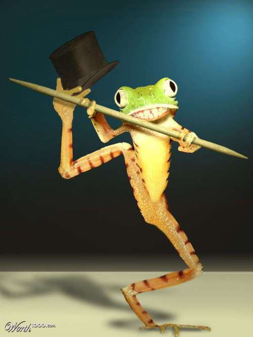 Điệu nhảy nghệ thuật của một chú ếch.