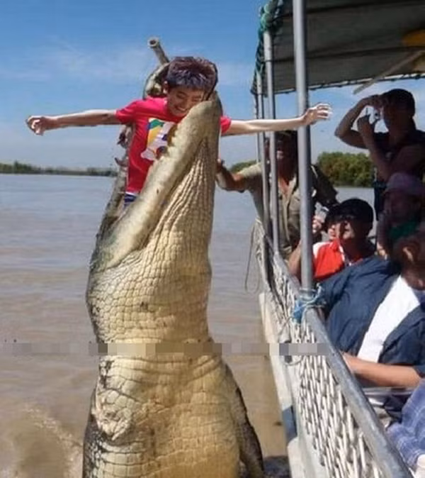 Cá bắt lại người.