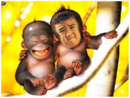 "Có khi nào Tề Thiên Đại Thánh 2 xuất hiện"