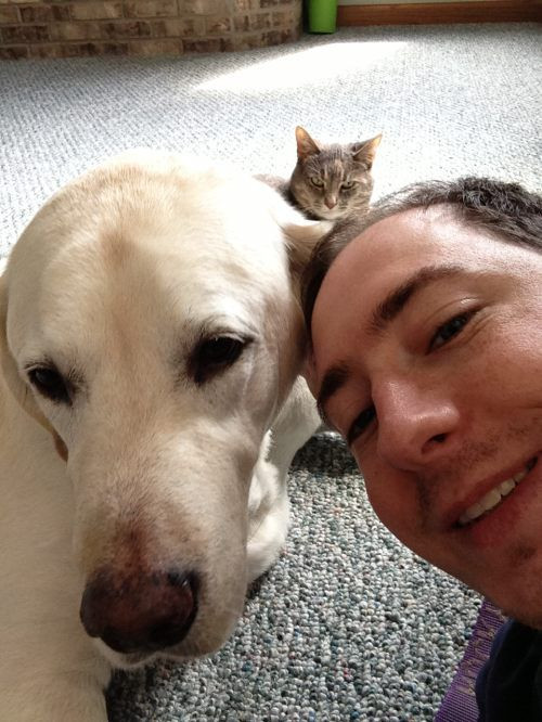 Có một sự gato nhẹ ở đằng sau.