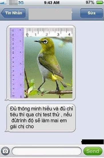 Muốn làm em rể đâu phải dễ dàng gì. 