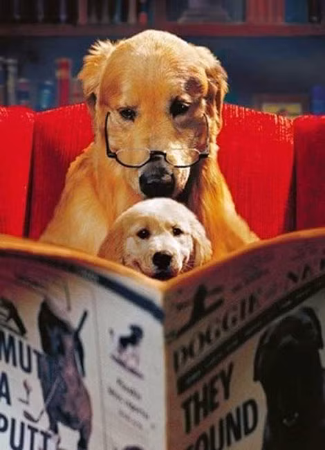 "Bố con ta cùng tìm hiểu về nguồn gốc chúng ta thôi nào"