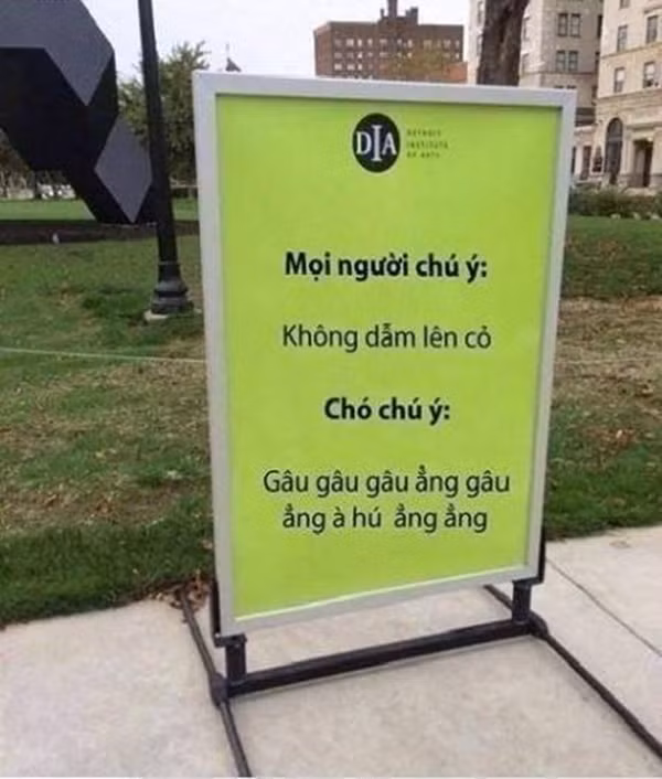Cả động vật cũng cần chú ý.