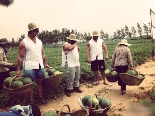 Sức mạnh của người phụ nữ nông thôn.