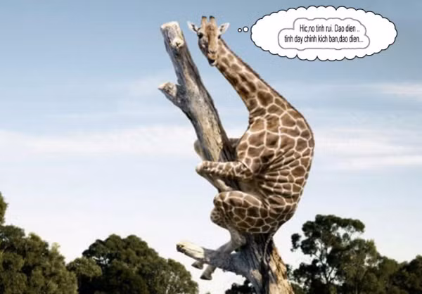 Kịch bản của đạo diễn.