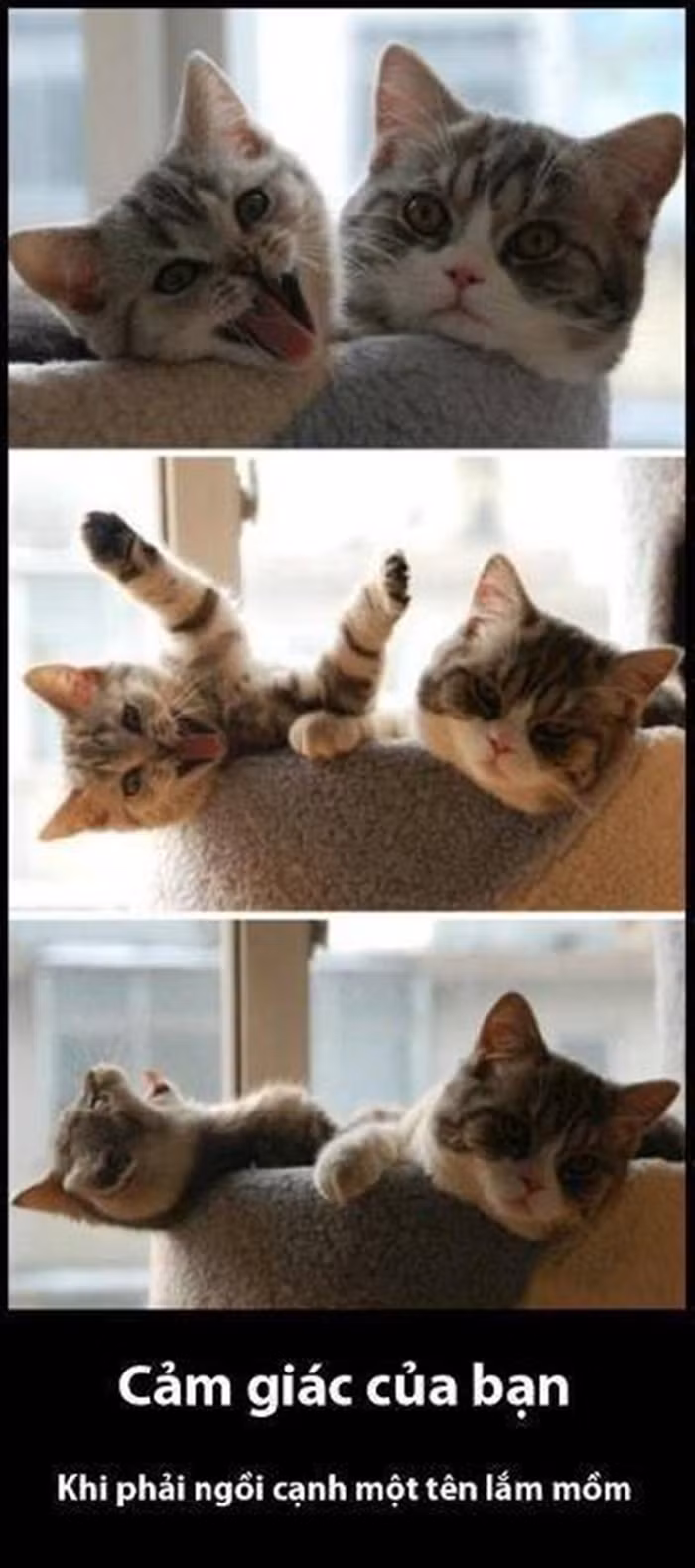 Cảm giác khi phải ngồi cạnh 1 tên lắm mồm.