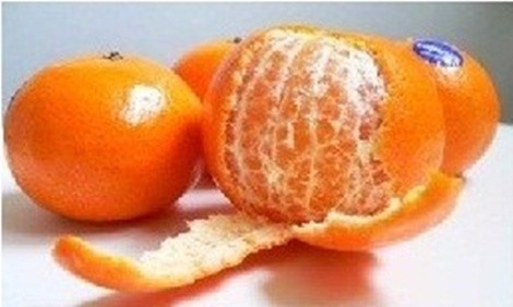 Quýt vàng Bắc sơn, Lạng Sơn