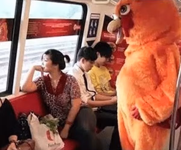 ...rồi thản nhiên ngồi ngắm cảnh.