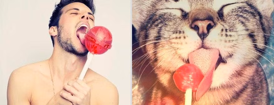 Thưởng thức kẹo phút.