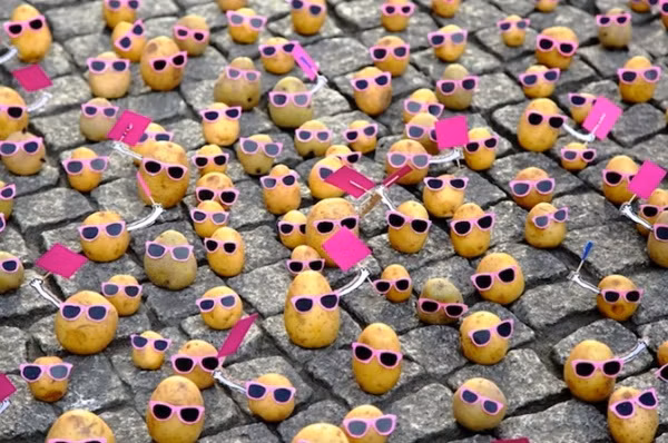 ...cùng đứng dậy biểu tình...