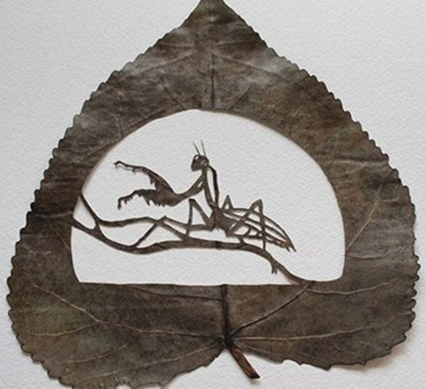 Thổi sự sống vào những chiếc lá khô là tác phẩm của Nghệ sĩ Lorenzo Durán, khiến người xem cực kỳ thích thú