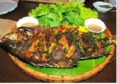 Bà Rịa - Vũng Tàu có cá bắp nẻ nướng 