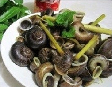Ninh Bình có món ốc núi