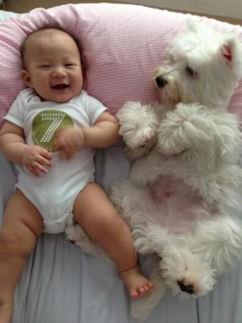 "Cậu cười gì tớ thế?".