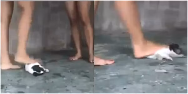 ...và hành hạ cho tới chết