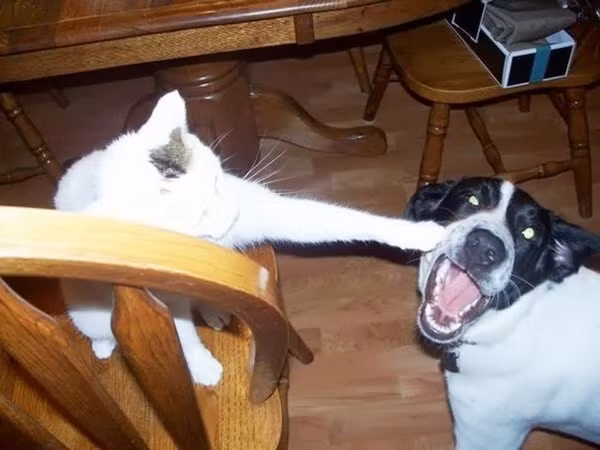 "Đừng có mà xí xớn".