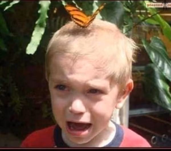 "Mẹ ơi! Con sợ quá".