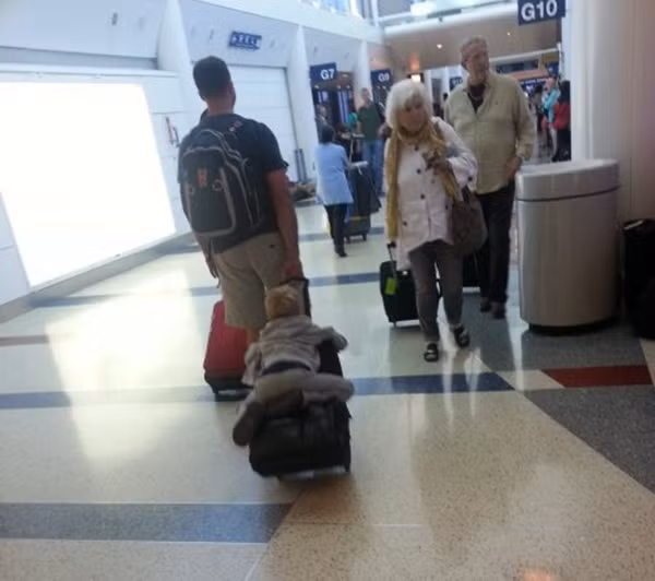 Bé đi du lịch cùng bố.