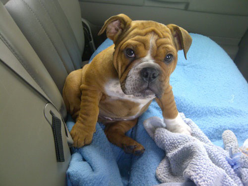 "Mải suy nghĩ nên nhiều nếp nhăn".