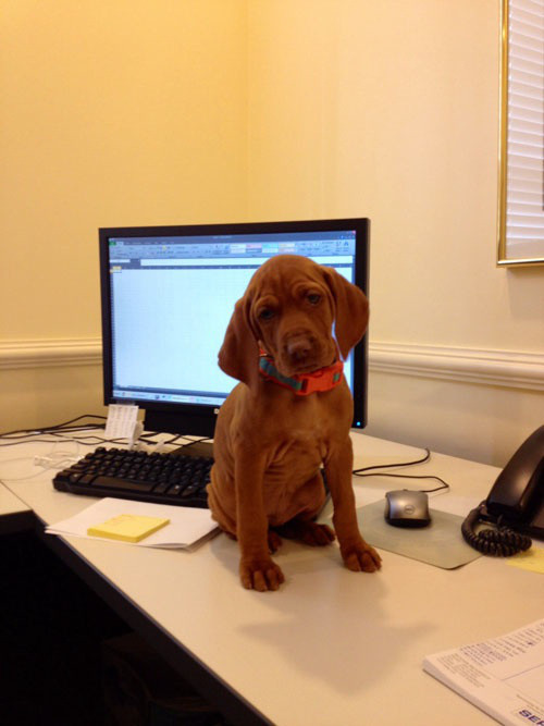 Vẻ mặt buồn rầu.